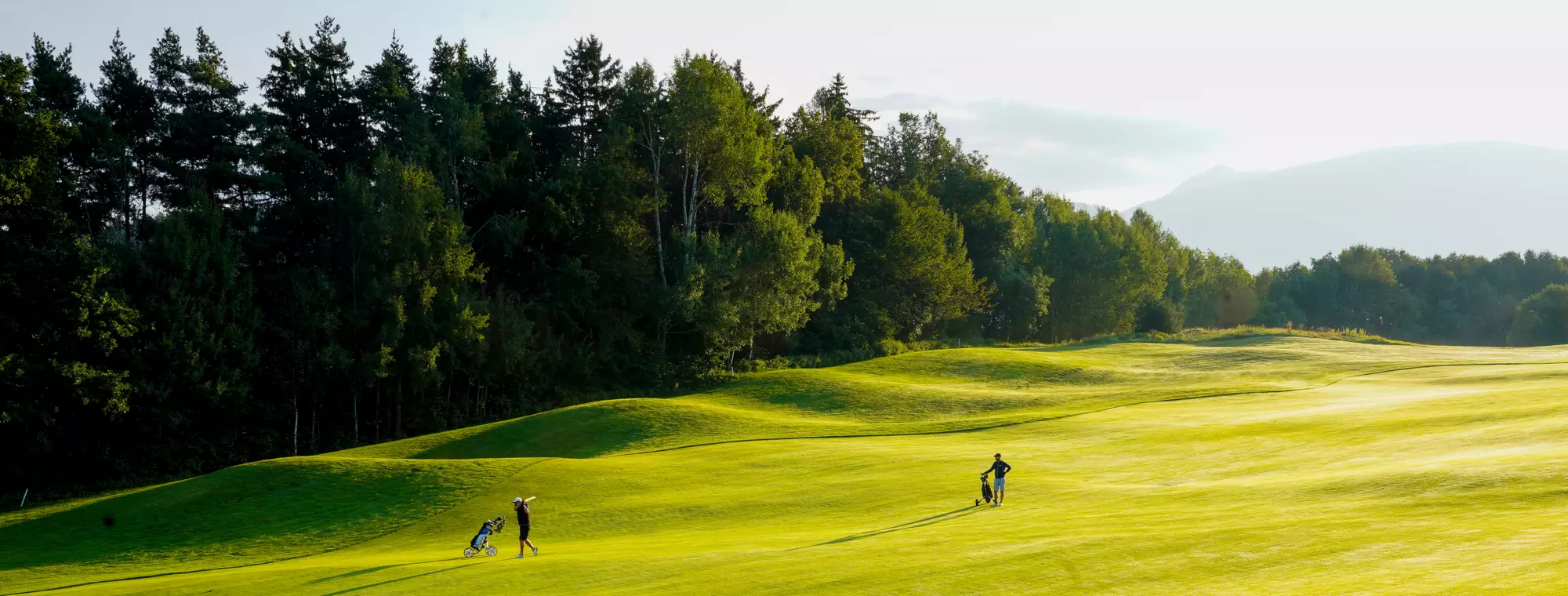 Golf, Riscone, Brunico, Val Pusteria, Hotel, Royal, Hinterhuber, verde